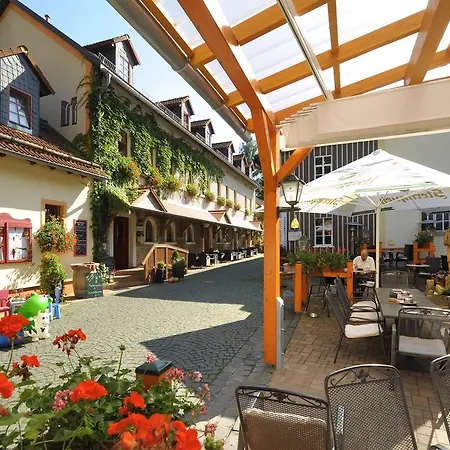 Hotel Zur Fernmühle 3*