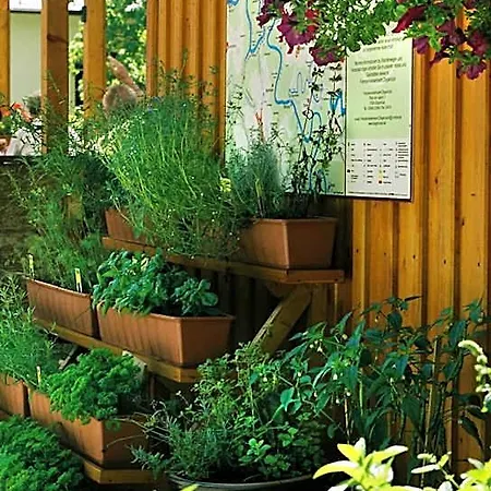 فندق Zur Fernmuehle Ziegenrück