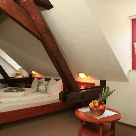 Hotel Zur Fernmuehle Ziegenrück