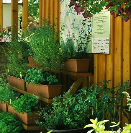 Zur Fernmuehle Hotel Ziegenrück