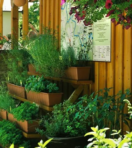 Zur Fernmuehle Hotel Ziegenrück