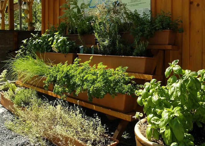 Zur Fernmuehle Hotel